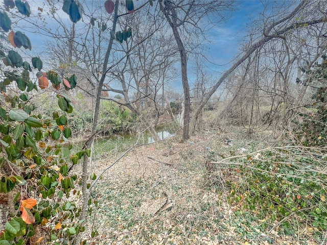 view of local wilderness featuring a water view