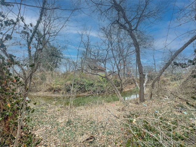 view of local wilderness featuring a water view