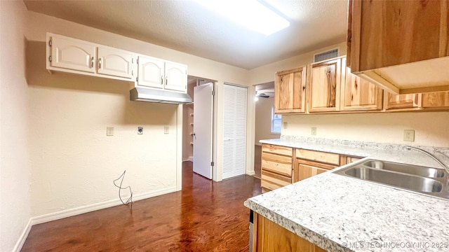 kitchen featuring dark hardwood / wood-style flooring and sink