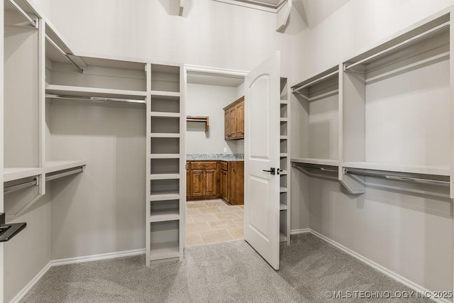 spacious closet featuring light carpet