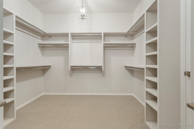 walk in closet with carpet flooring