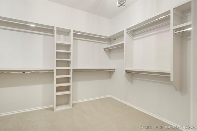 spacious closet featuring carpet floors