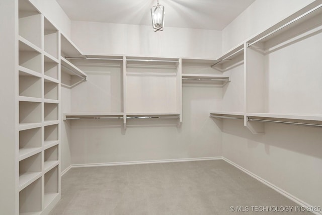 walk in closet featuring light colored carpet