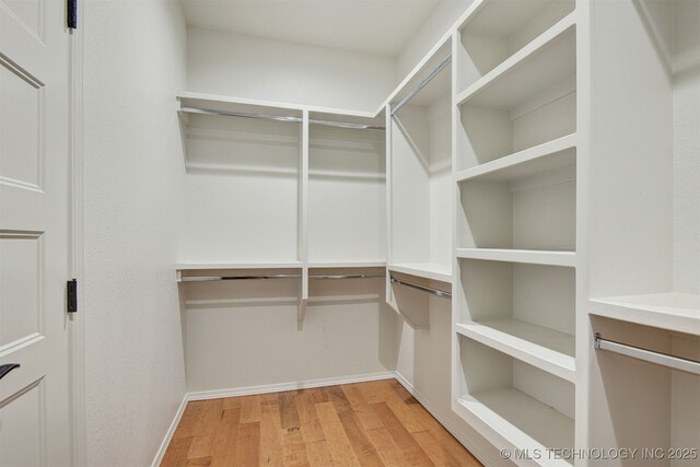 walk in closet with light wood-type flooring