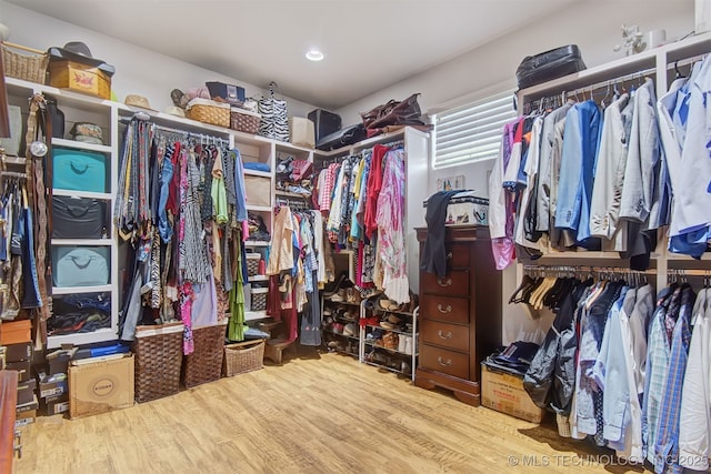 walk in closet with hardwood / wood-style flooring