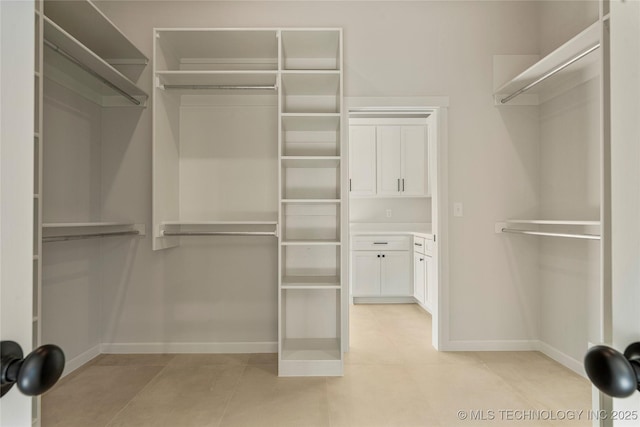 view of walk in closet