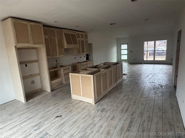 kitchen with a center island, premium range hood, and light hardwood / wood-style flooring