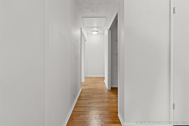 corridor featuring light hardwood / wood-style floors