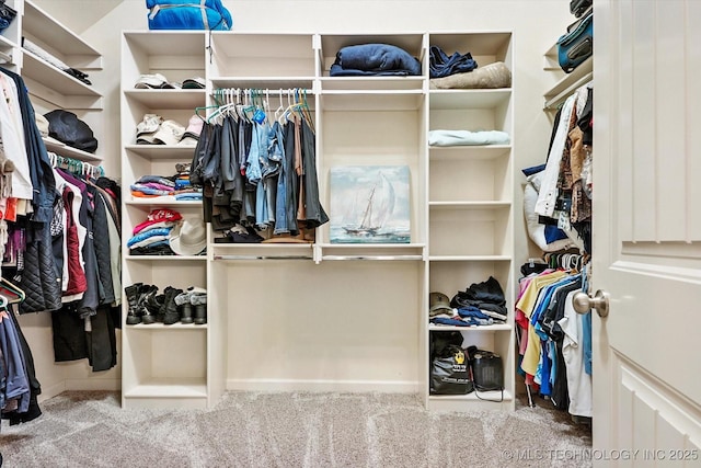 spacious closet with carpet