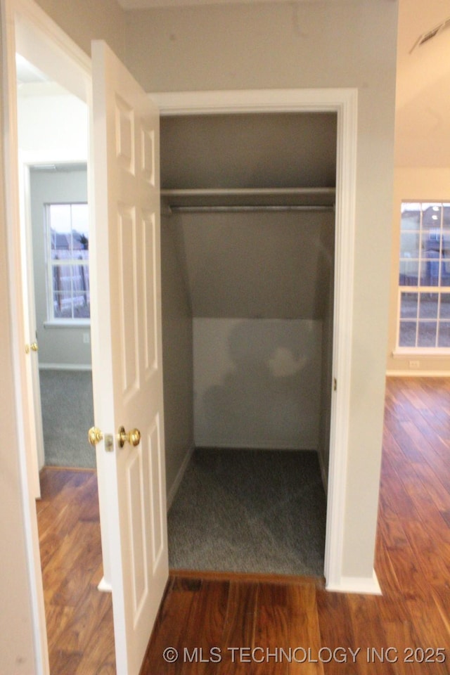 view of closet