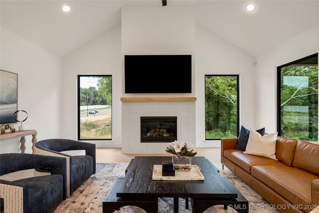 living room with light wood-type flooring, high vaulted ceiling, and a healthy amount of sunlight