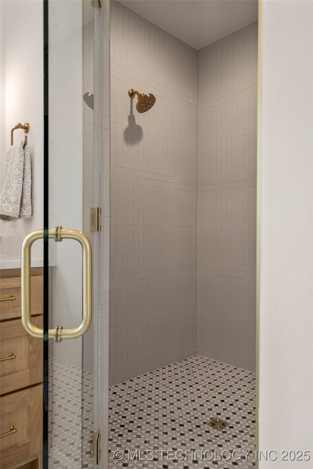 bathroom featuring a shower with shower door