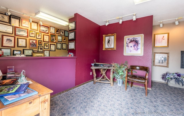 carpeted office space featuring track lighting