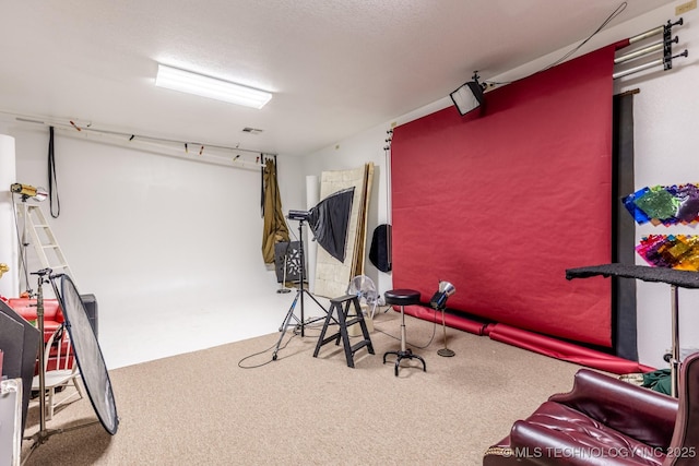 interior space with carpet floors