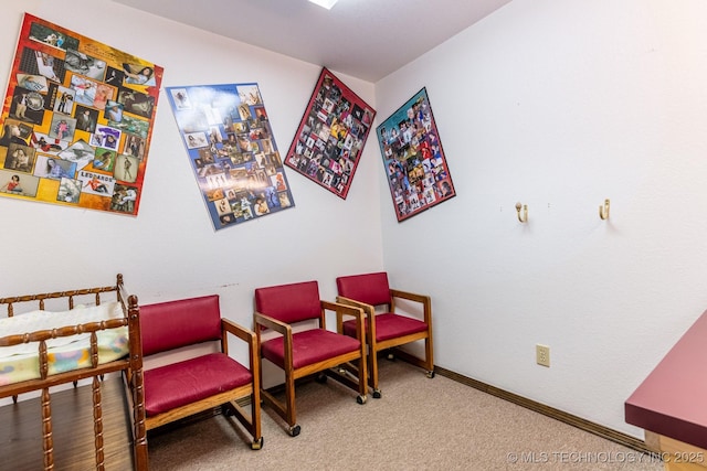 sitting room with carpet floors