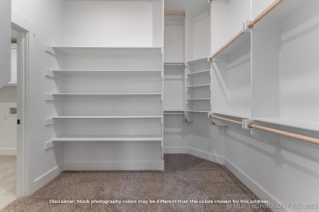 spacious closet with carpet