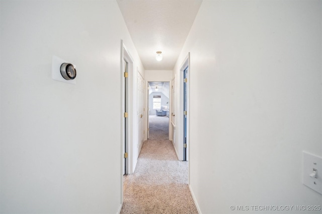 hall featuring light carpet