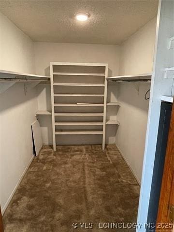 walk in closet featuring dark colored carpet