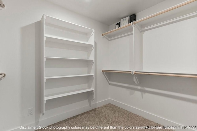 view of spacious closet