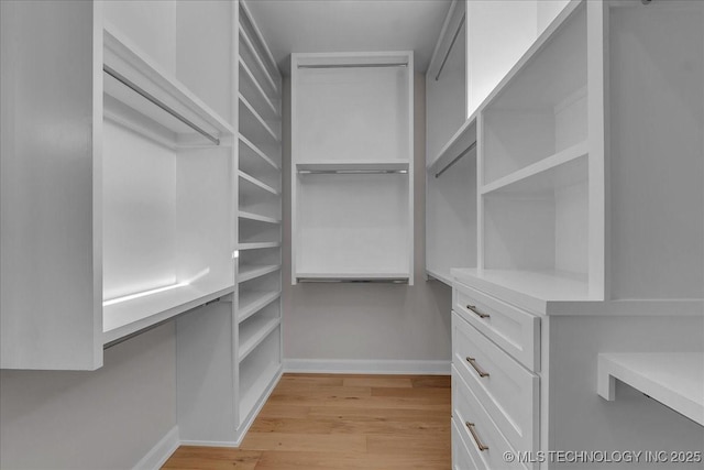 spacious closet with light hardwood / wood-style flooring