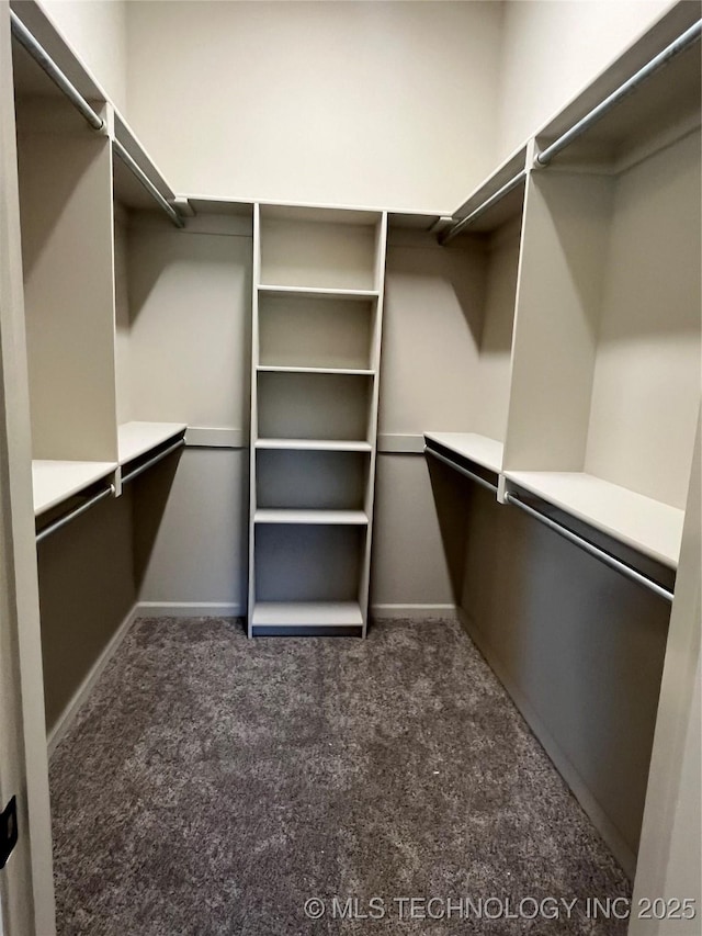 spacious closet featuring carpet floors