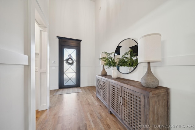 foyer entrance with light hardwood / wood-style flooring