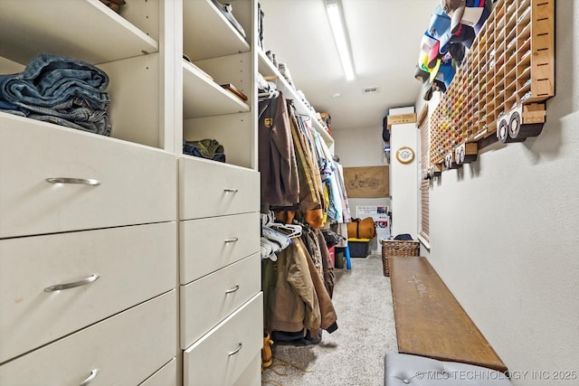 spacious closet featuring carpet floors