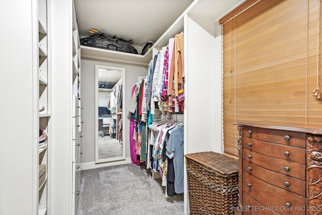 spacious closet with carpet flooring