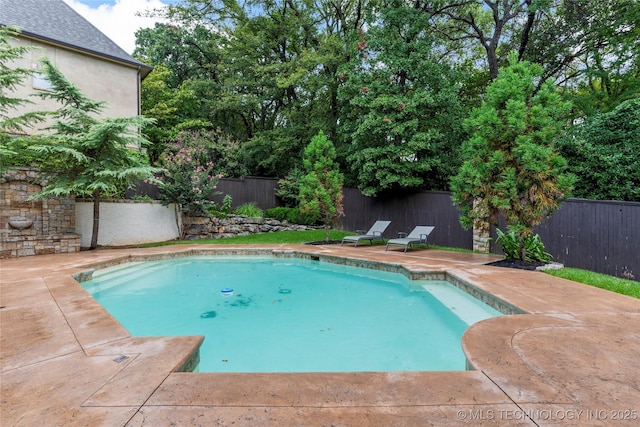 view of pool with a patio