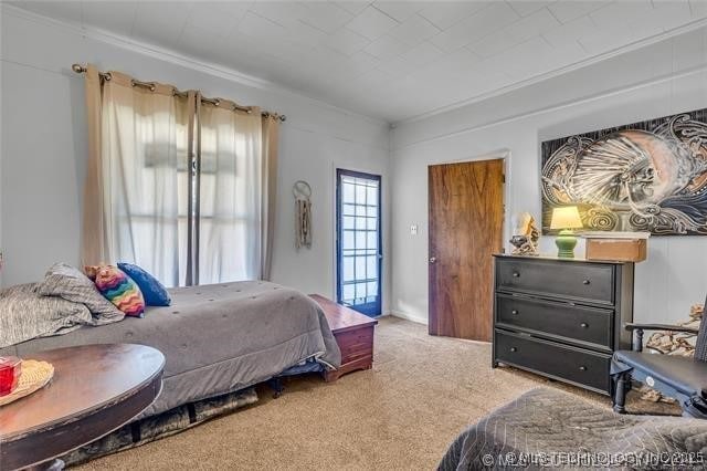 bedroom with carpet