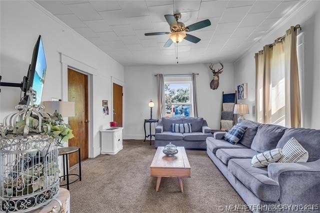 living room featuring ceiling fan and carpet floors