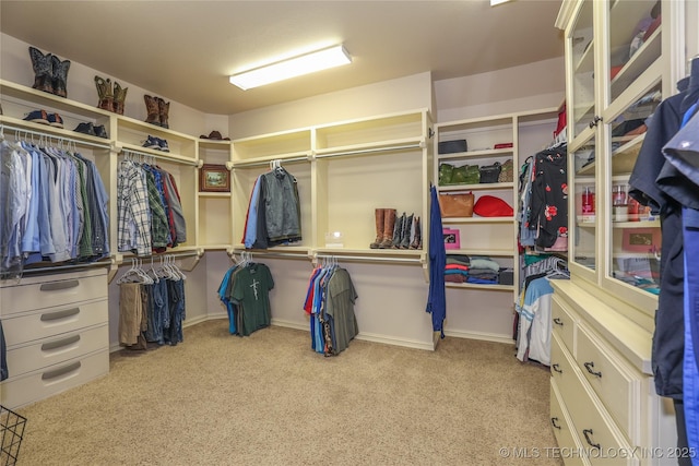 spacious closet featuring light colored carpet