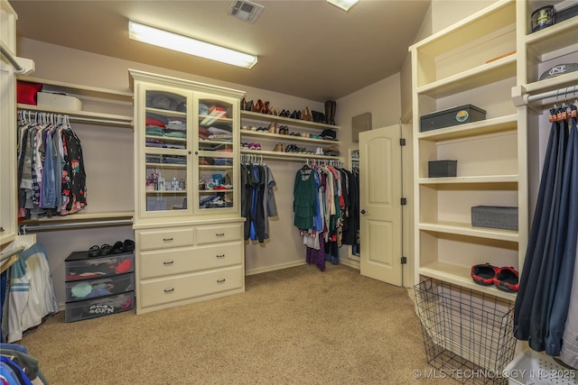 spacious closet with light carpet