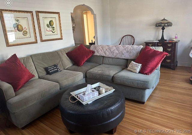 living room with wood-type flooring