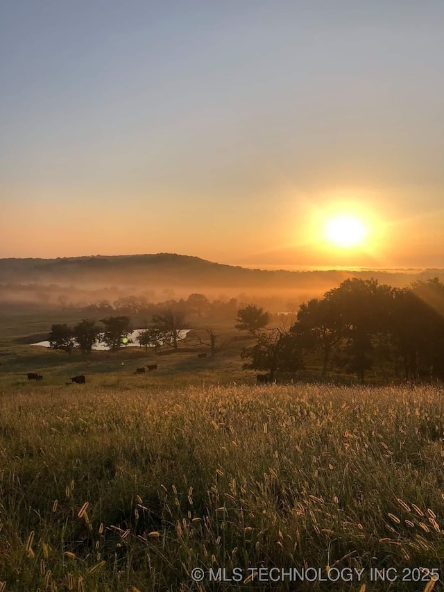 nature at dusk with a rural view