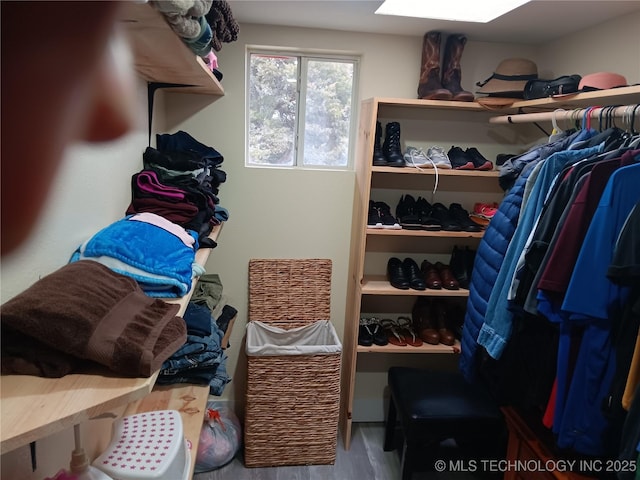 spacious closet featuring a skylight