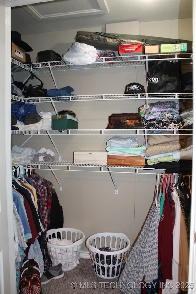 walk in closet with carpet floors