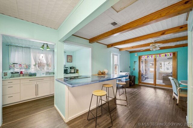 kitchen with white cabinets, dark hardwood / wood-style floors, ceiling fan, and a healthy amount of sunlight