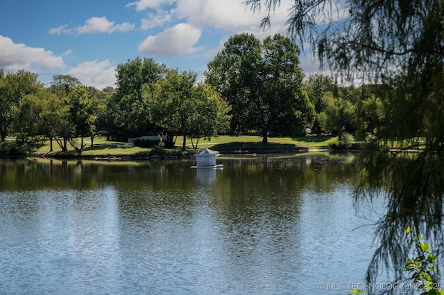 view of water feature