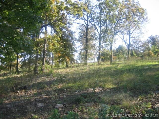 Listing photo 3 for 6 E 953rd Rd, Vian OK 74962