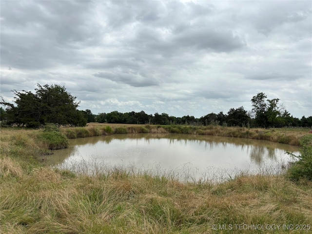 591 Peanut Trl, Hendrix, OK 74741 - water view