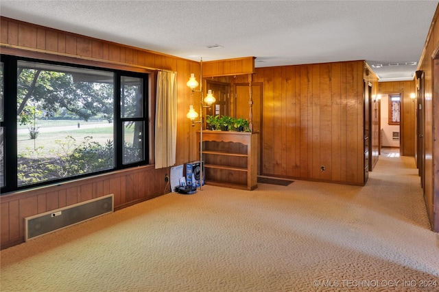 carpeted empty room with a wealth of natural light, wooden walls, and a textured ceiling