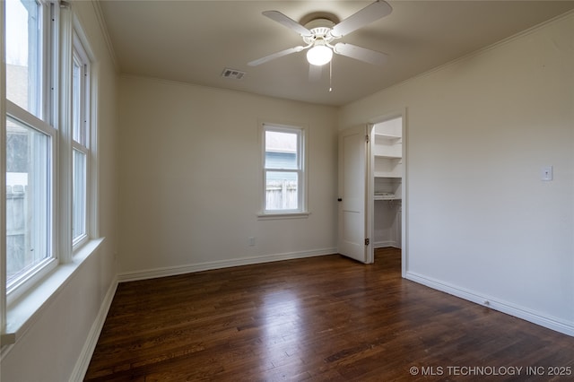 unfurnished bedroom featuring ceiling fan, a spacious closet, dark wood-type flooring, a closet, and ornamental molding