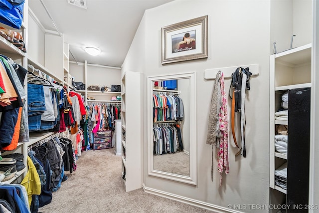 spacious closet with light colored carpet