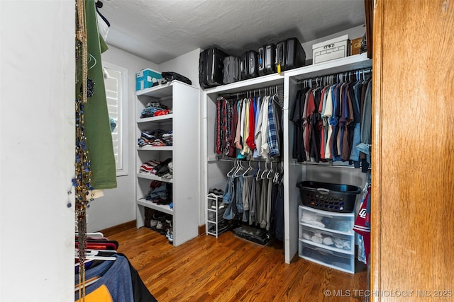 spacious closet with wood-type flooring