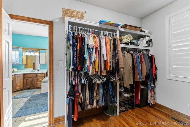 spacious closet with sink and light hardwood / wood-style flooring