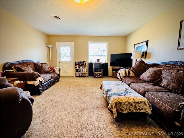 living room featuring carpet and a textured ceiling