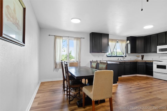 dining room with light hardwood / wood-style floors, a healthy amount of sunlight, and sink