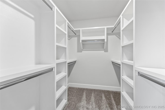 walk in closet with dark colored carpet