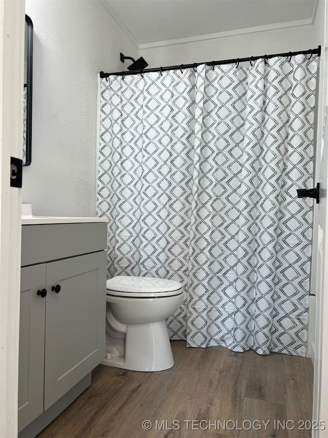 bathroom featuring vanity, hardwood / wood-style flooring, and toilet